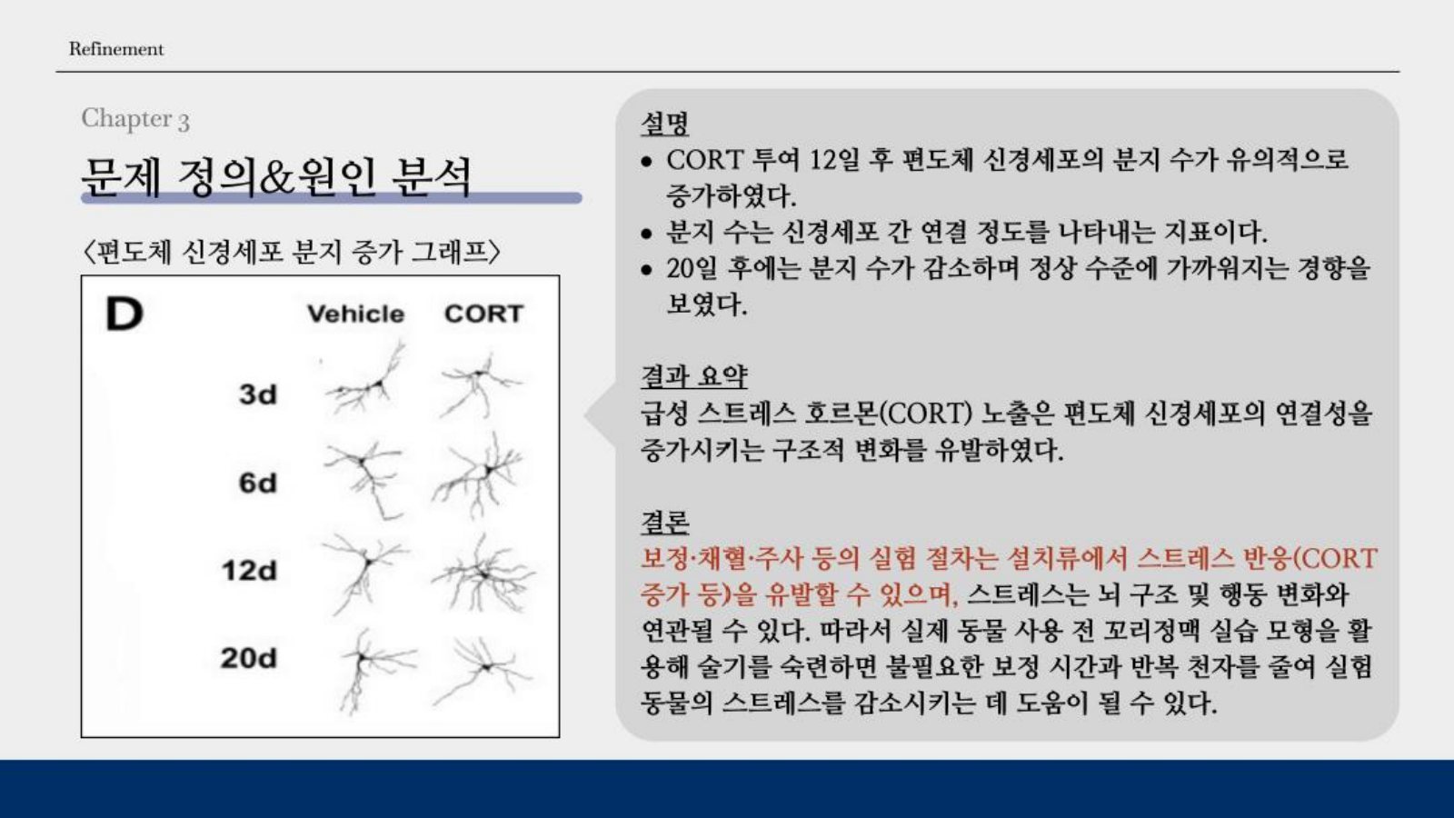 8. Chapter 3 편도체 신경세포 분지 증가 그래프