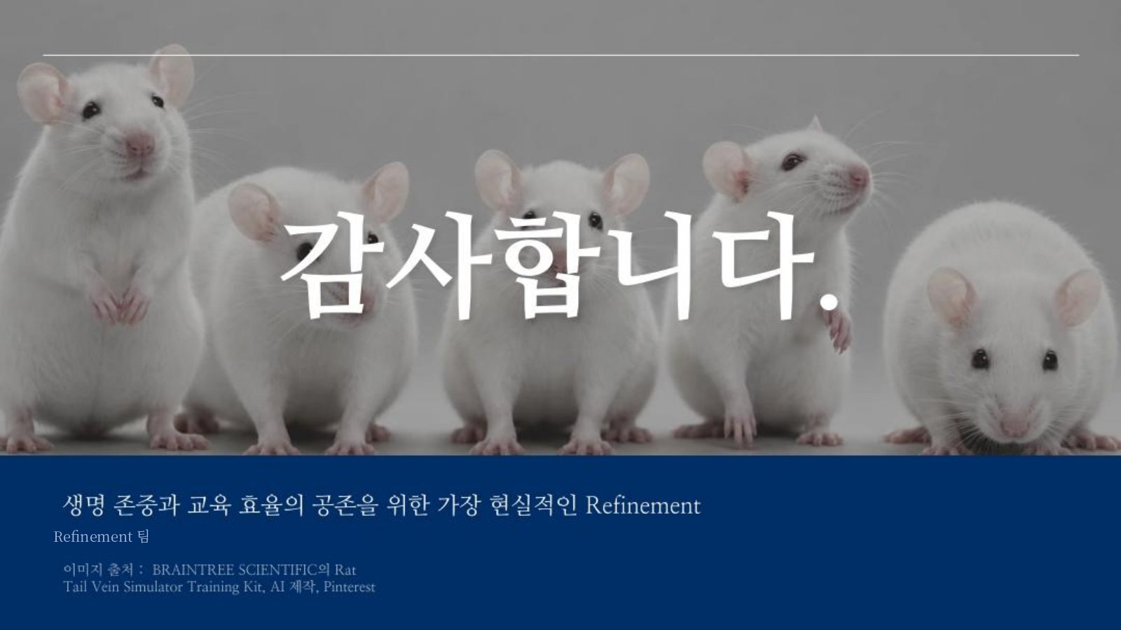 15. 감사합니다